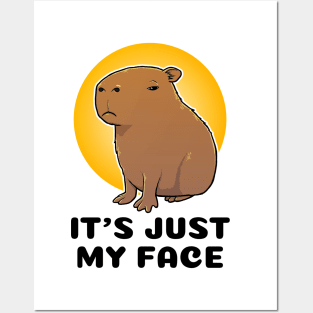 It's just my face Capybara Posters and Art